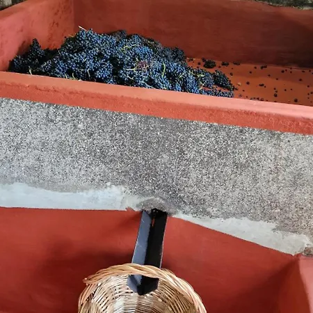 Farma Torre Bella Gardens