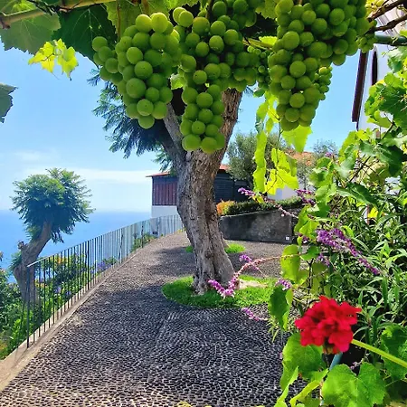 Κατάλυμα σε φάρμα Torre Bella Gardens Arco da Calheta (Madeira)