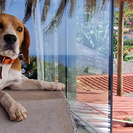 Torre Bella Gardens Alojamento de Turismo Rural *