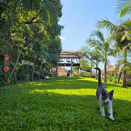 Κατάλυμα σε φάρμα Torre Bella Gardens