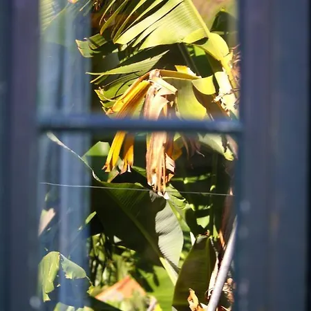 Alojamento de Turismo Rural Torre Bella Gardens *