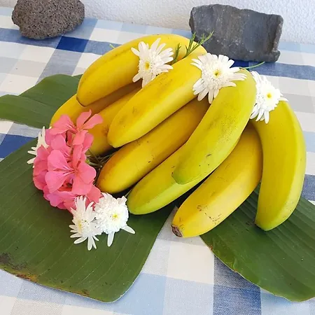 Torre Bella Gardens Arco da Calheta (Madeira)
