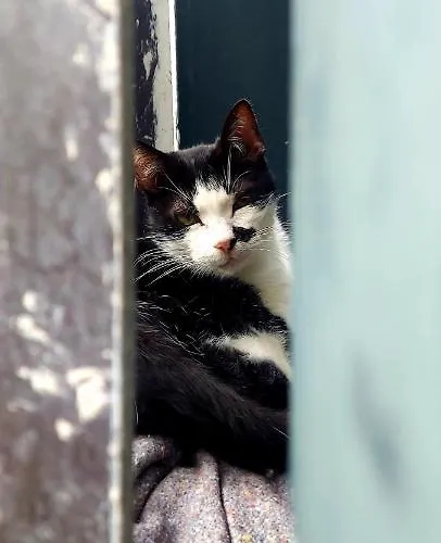 Torre Bella Gardens * أركو دا كالهيتا