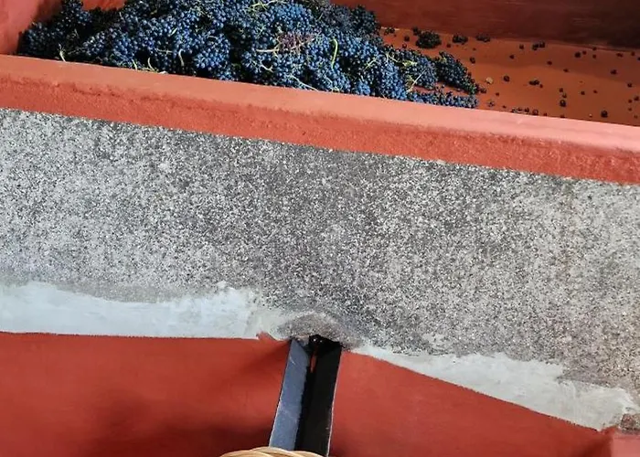 مزرعة للإقامة Torre Bella Gardens