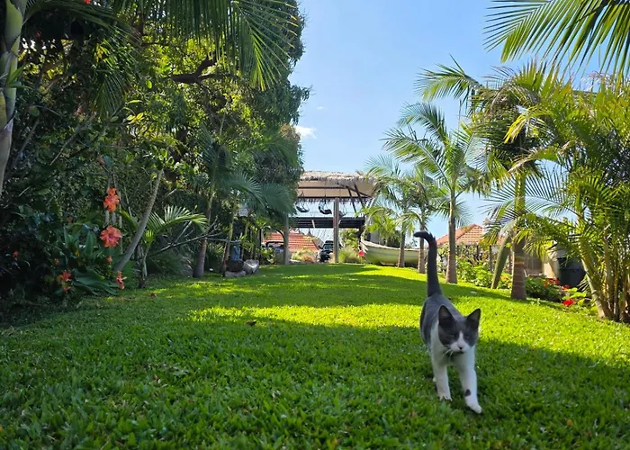 Κατάλυμα σε φάρμα Torre Bella Gardens