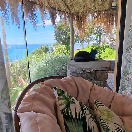 Torre Bella Gardens Feriegård Arco da Calheta (Madeira)