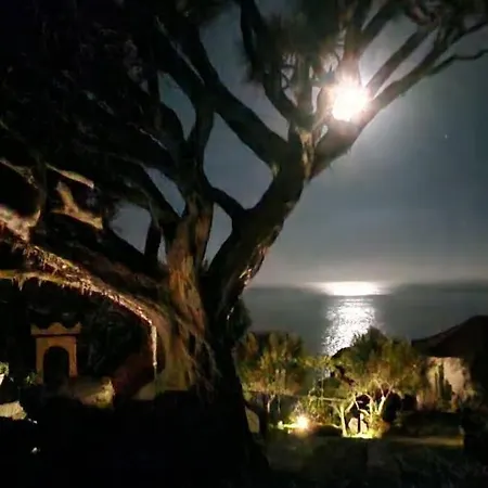 Torre Bella Gardens *