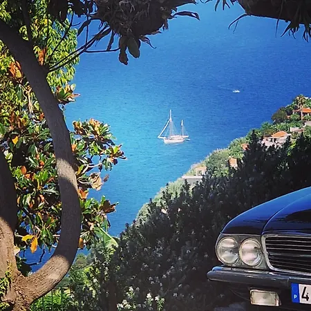 Torre Bella Gardens *