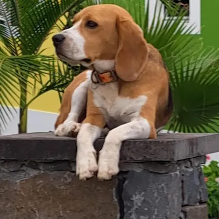 Torre Bella Gardens Κατάλυμα σε φάρμα
