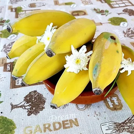 Torre Bella Gardens *