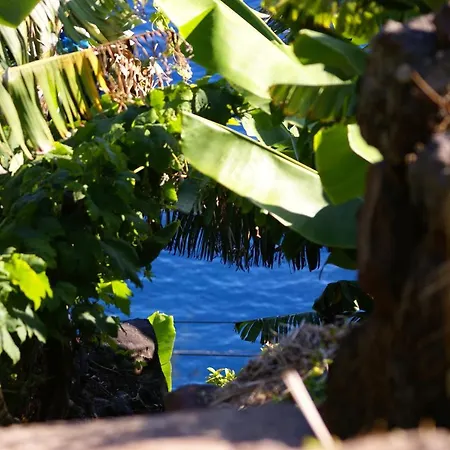 Torre Bella Gardens *