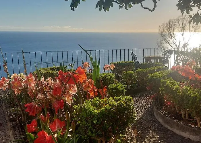 Torre Bella Gardens Alloggio per agriturismo Arco da Calheta (Madeira)