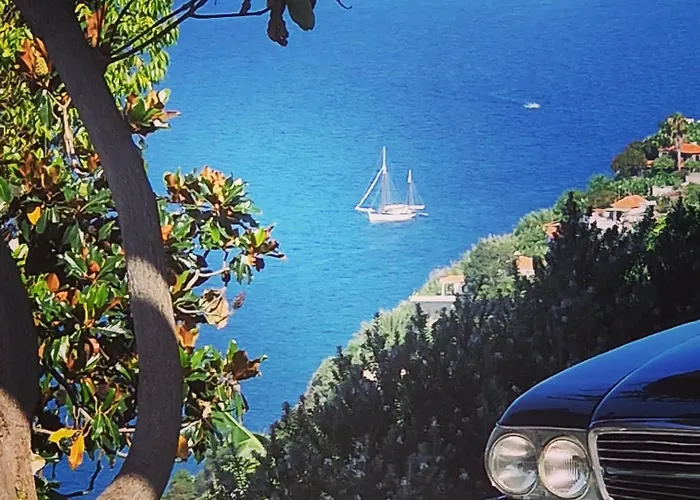 Torre Bella Gardens *