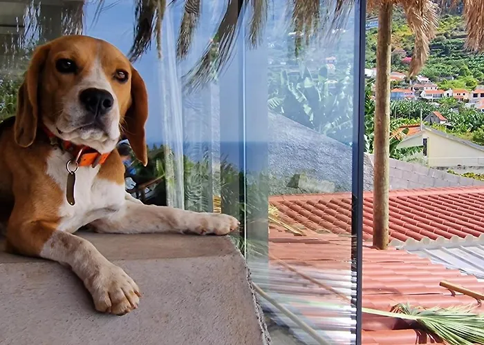 Torre Bella Gardens Farmház *