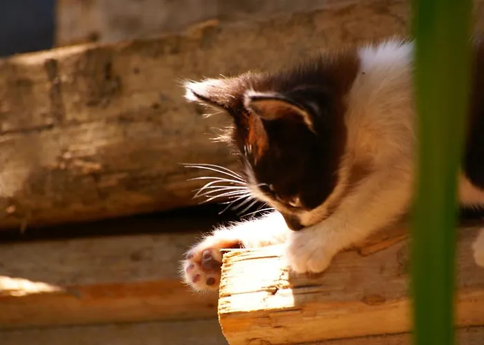 Farmház Torre Bella Gardens *