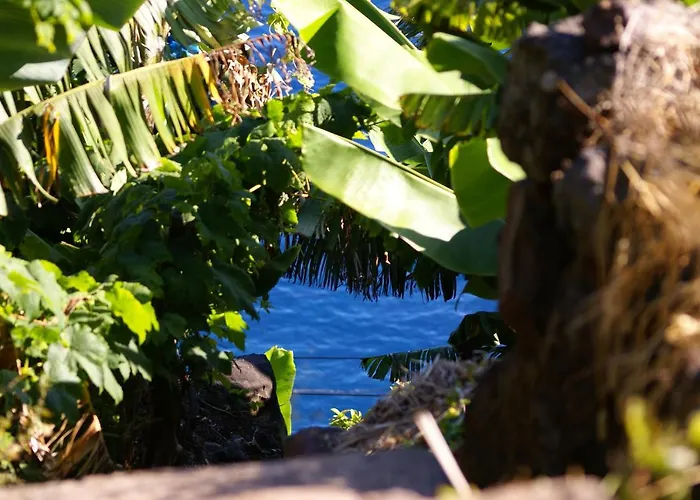Torre Bella Gardens *