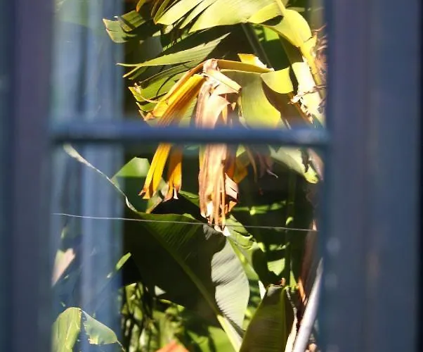 Alloggio per agriturismo Torre Bella Gardens *