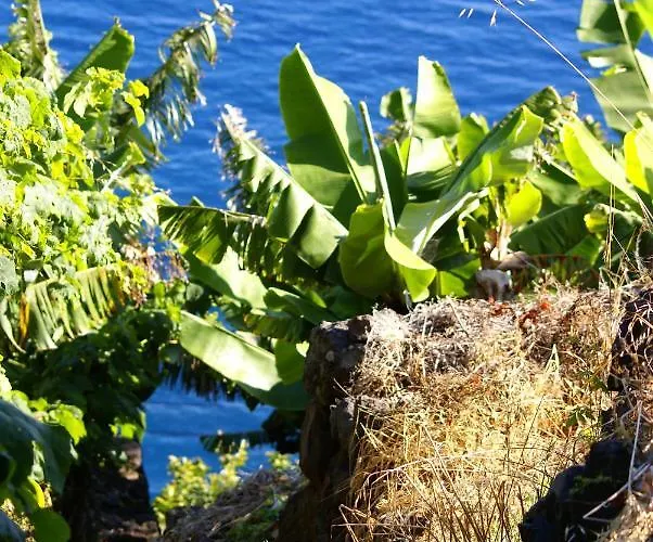 Torre Bella Gardens *