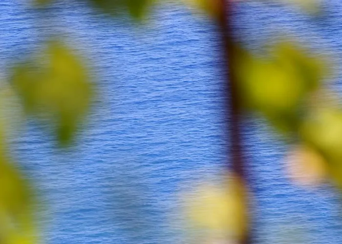 Alloggio per agriturismo Torre Bella Gardens *