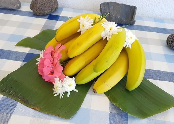 Torre Bella Gardens Arco da Calheta (Madeira)